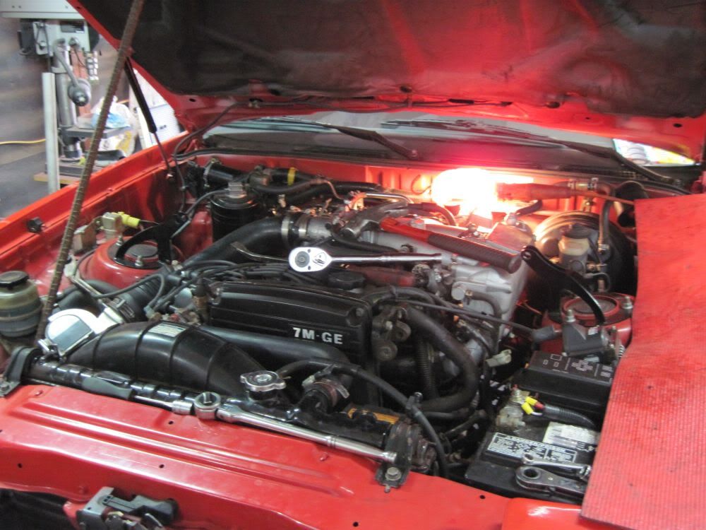 p1554793_6.jpg