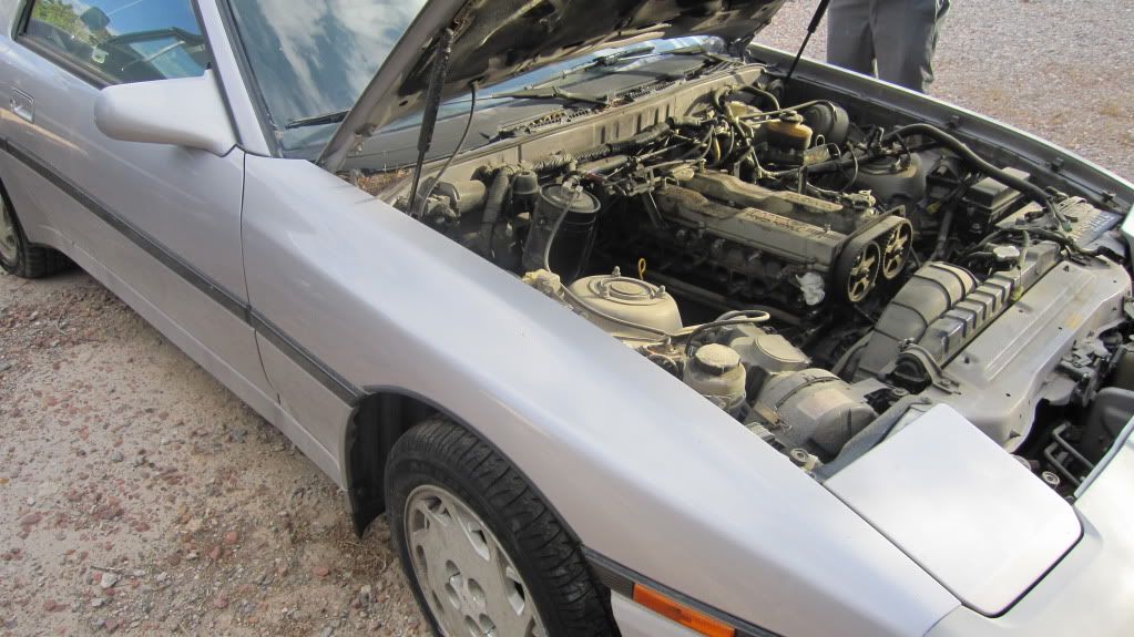 p1559864_3.jpg