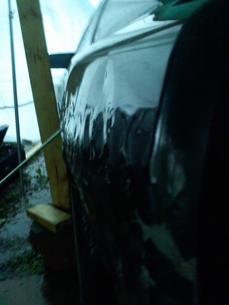 p1560228_1.jpg