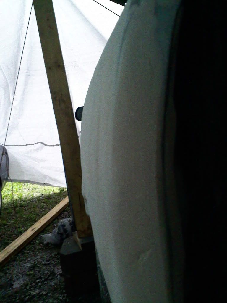 p1560228_19.jpg