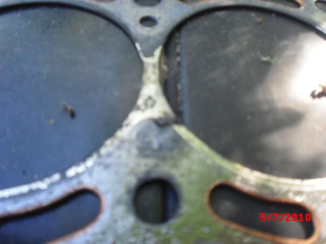 p1562798_2.jpg
