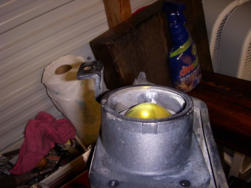 p1565114_10.jpg