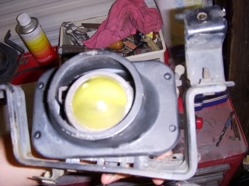 p1565114_8.jpg