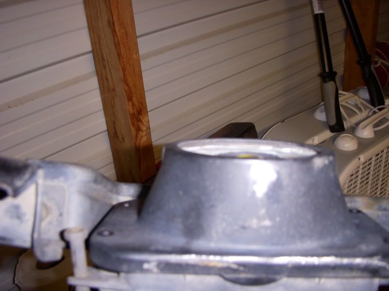 p1565114_9.jpg
