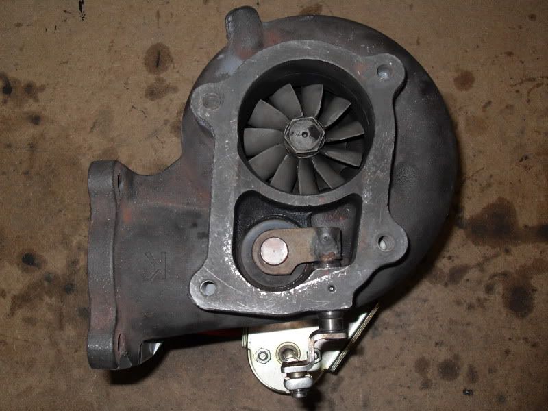 p1569998_1.jpg