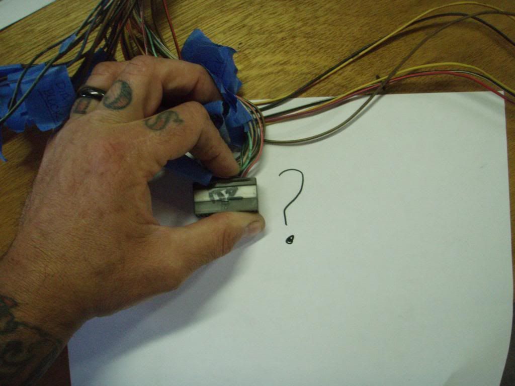 p1572430_10.jpg
