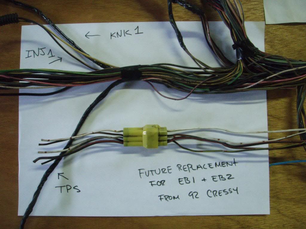 p1572430_5.jpg