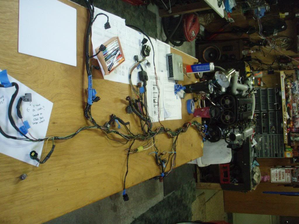 p1572430_7.jpg