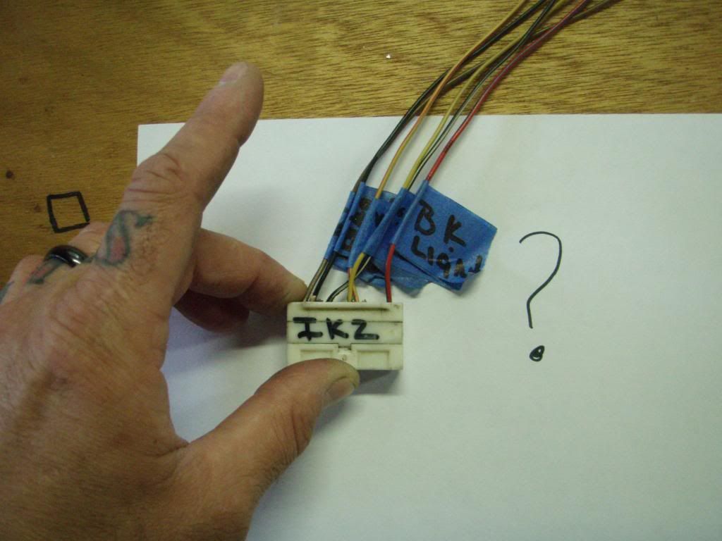 p1572430_8.jpg