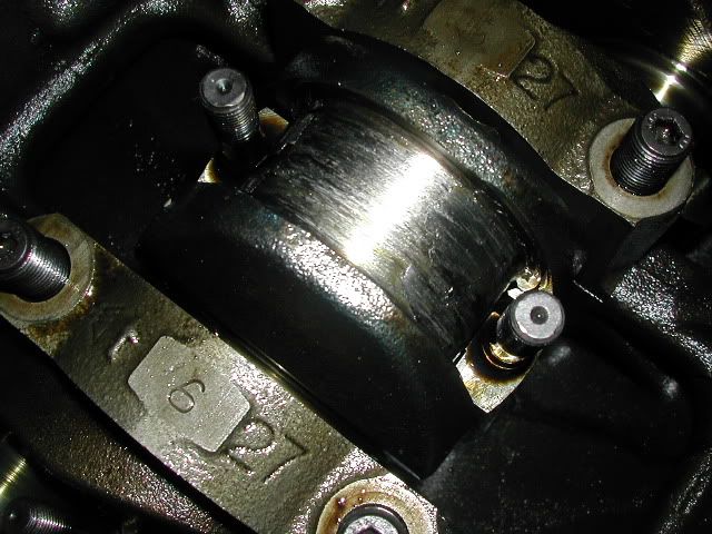 p1578459_1.jpg