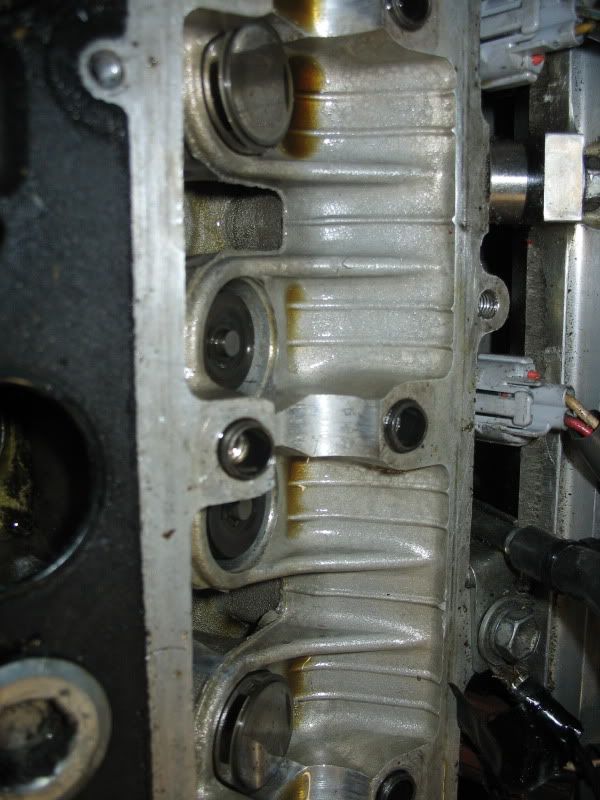 p1594078_3.jpg