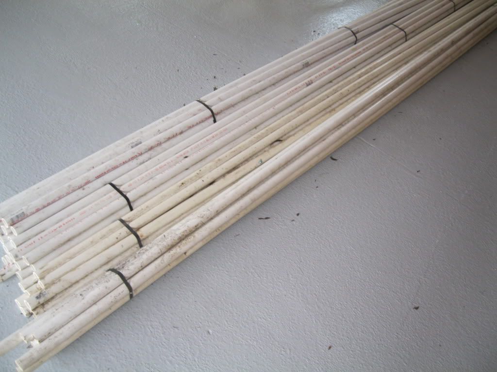 p1600125_6.jpg