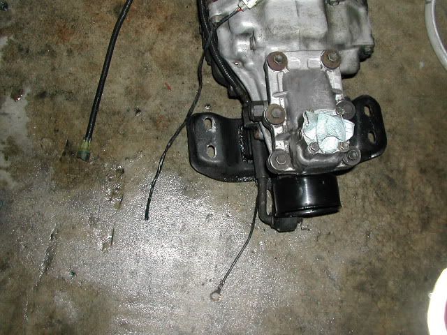 p1601009_1.jpg