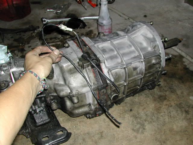 p1601009_2.jpg
