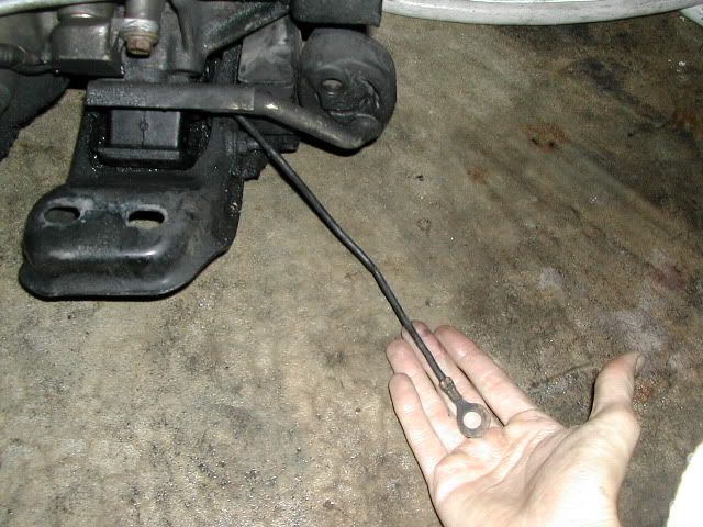 p1601009_3.jpg
