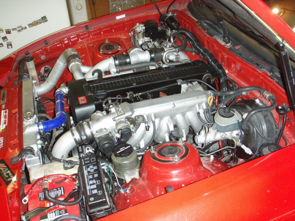p1624963_1.jpg