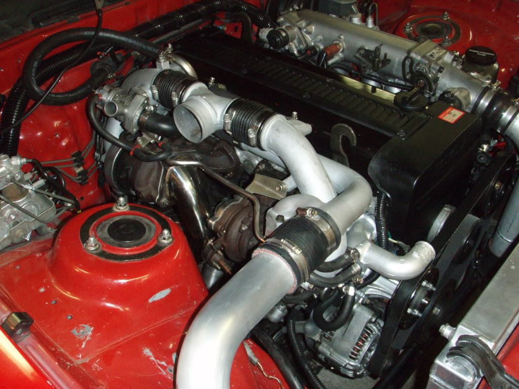 p1624963_2.jpg