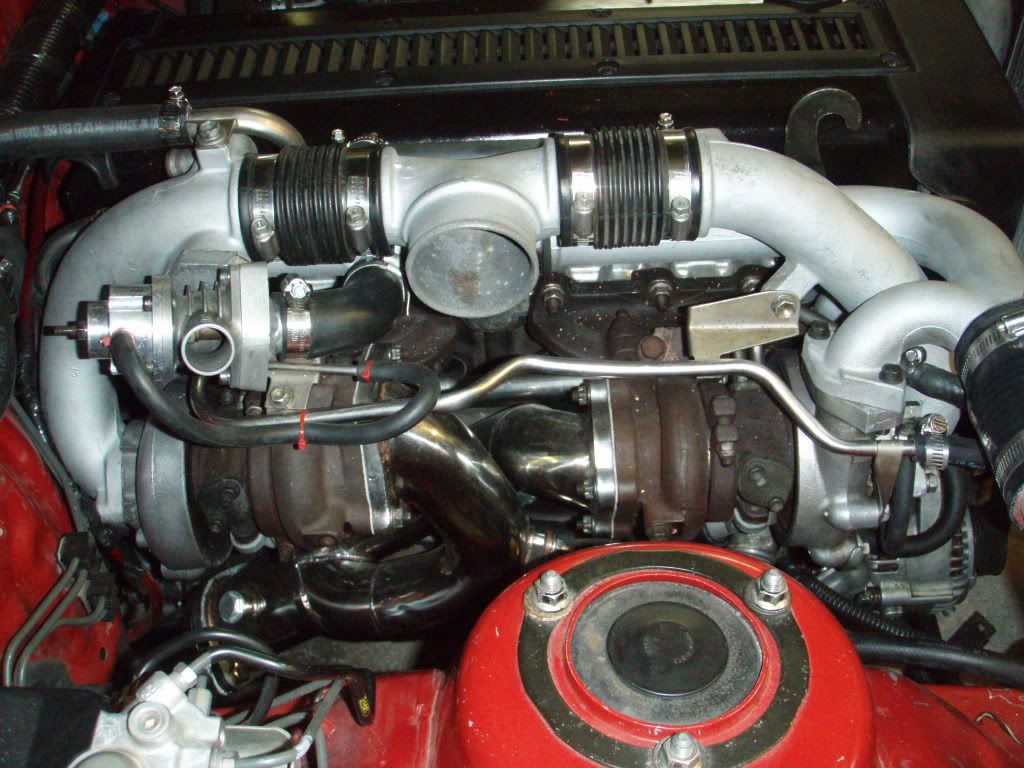 p1624963_4.jpg