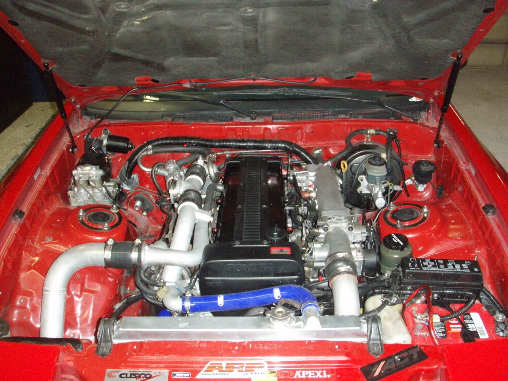 p1624963_5.jpg