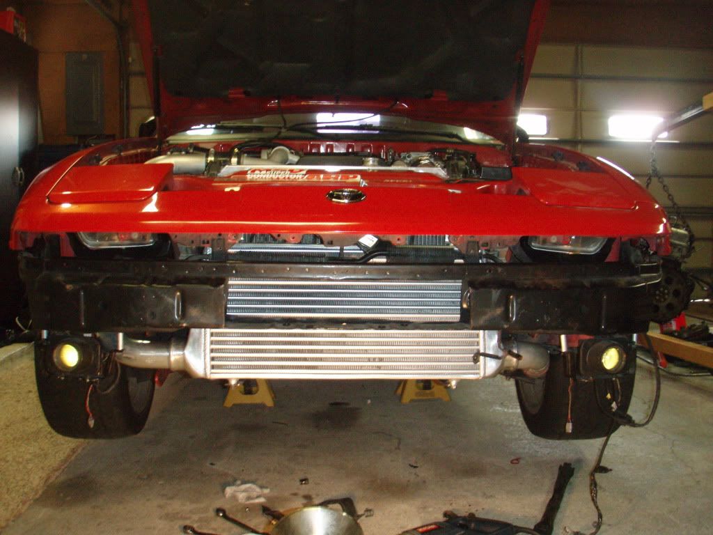 p1624963_7.jpg