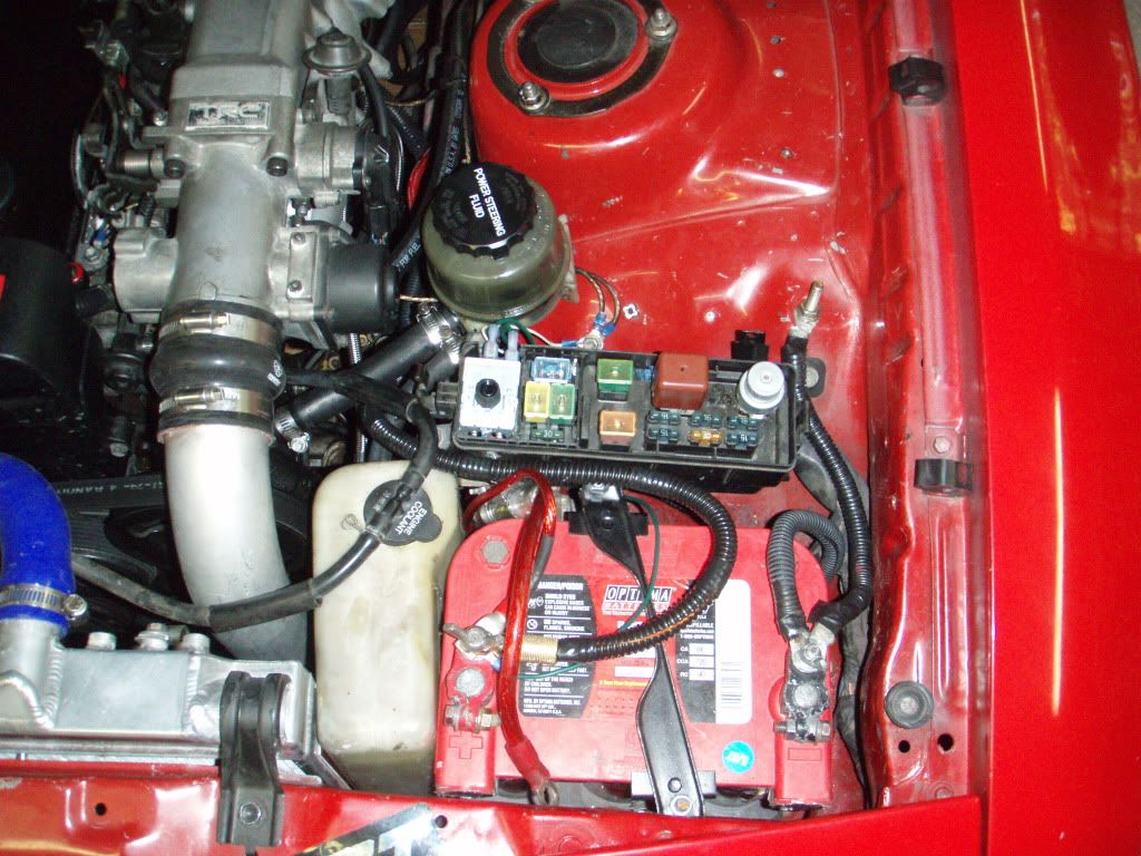 p1624963_8.jpg