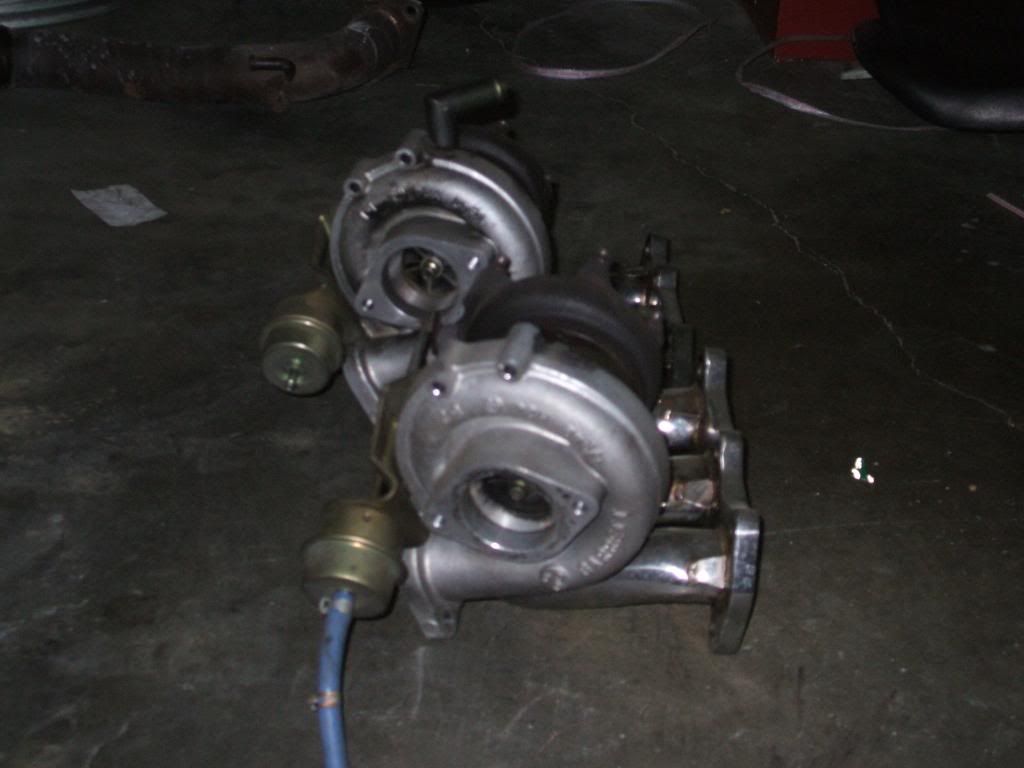 p1625196_2.jpg