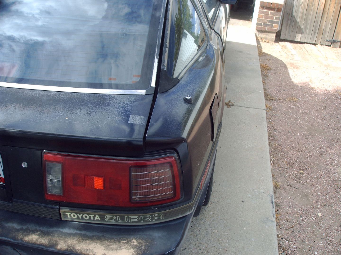 p1625865_1.jpg
