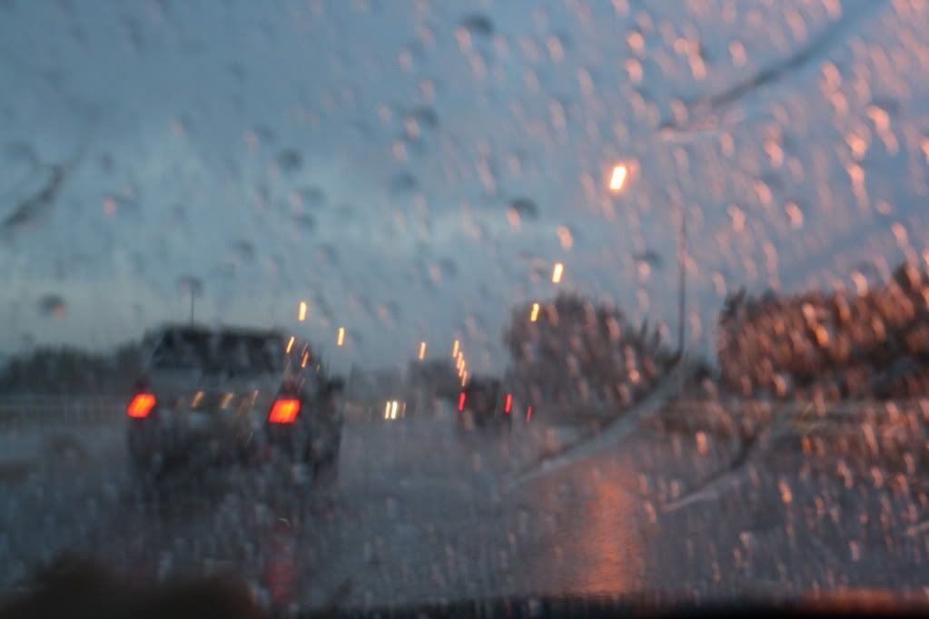 p1629840_11.jpg