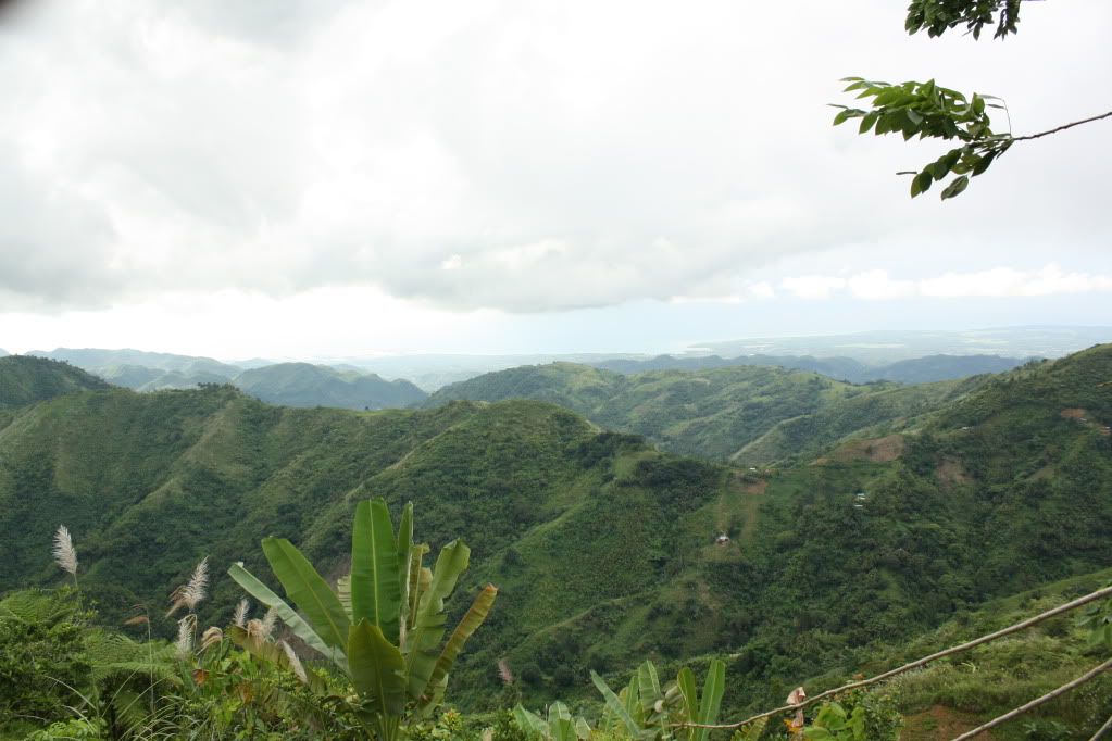 p1629840_3.jpg