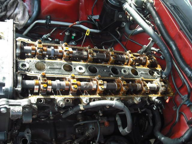 p1631010_10.jpg