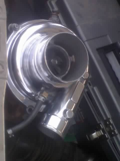 p1635176_2.jpg