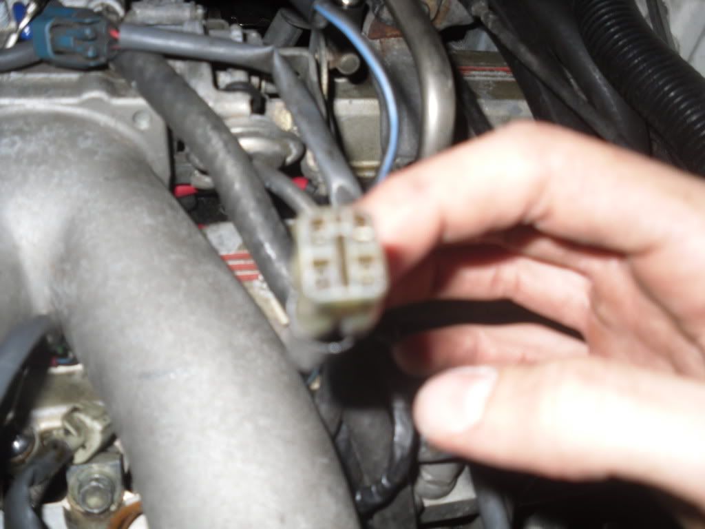 p1638503_2.jpg