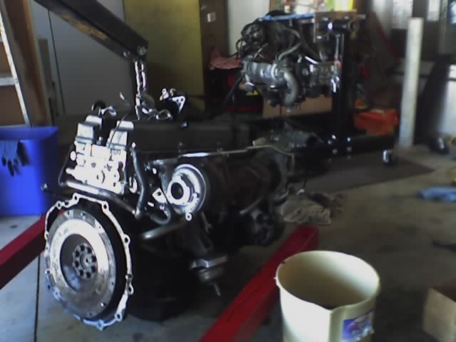 p164090_1.jpg