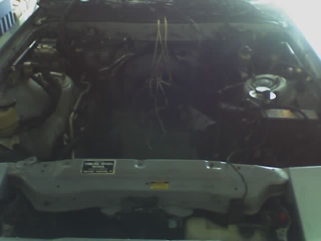 p164090_2.jpg