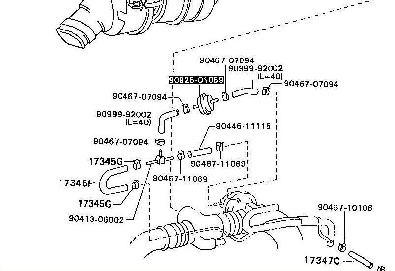 p1641089_1.jpg