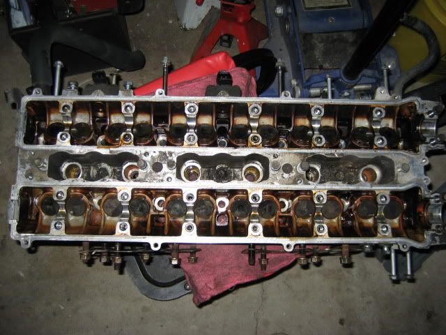 p1642612_6.jpg
