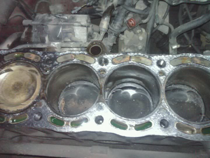 p1659554_4.jpg