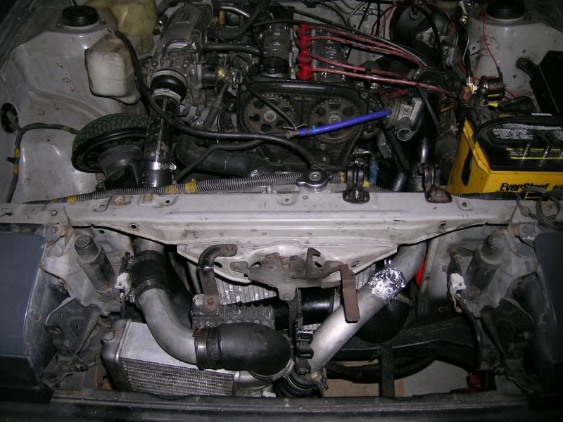 p1661884_4.jpg