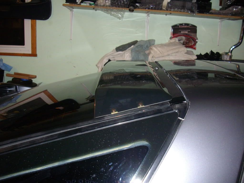 p1662587_2.jpg