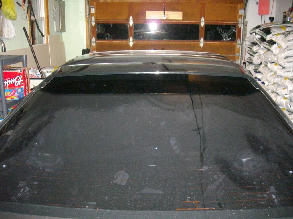 p1662587_3.jpg