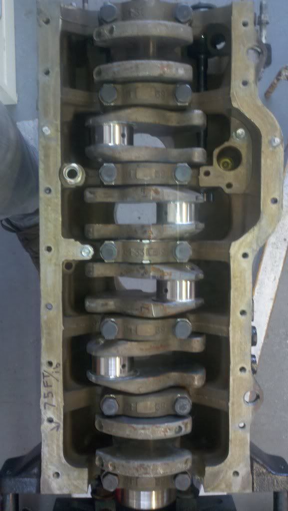 p1664410_1.jpg