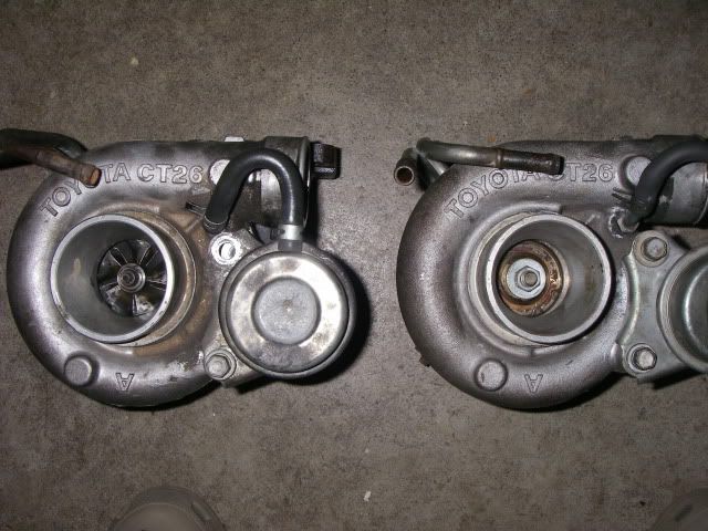 p1669269_1.jpg