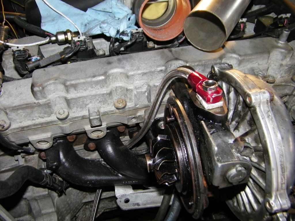 p1677236_1.jpg