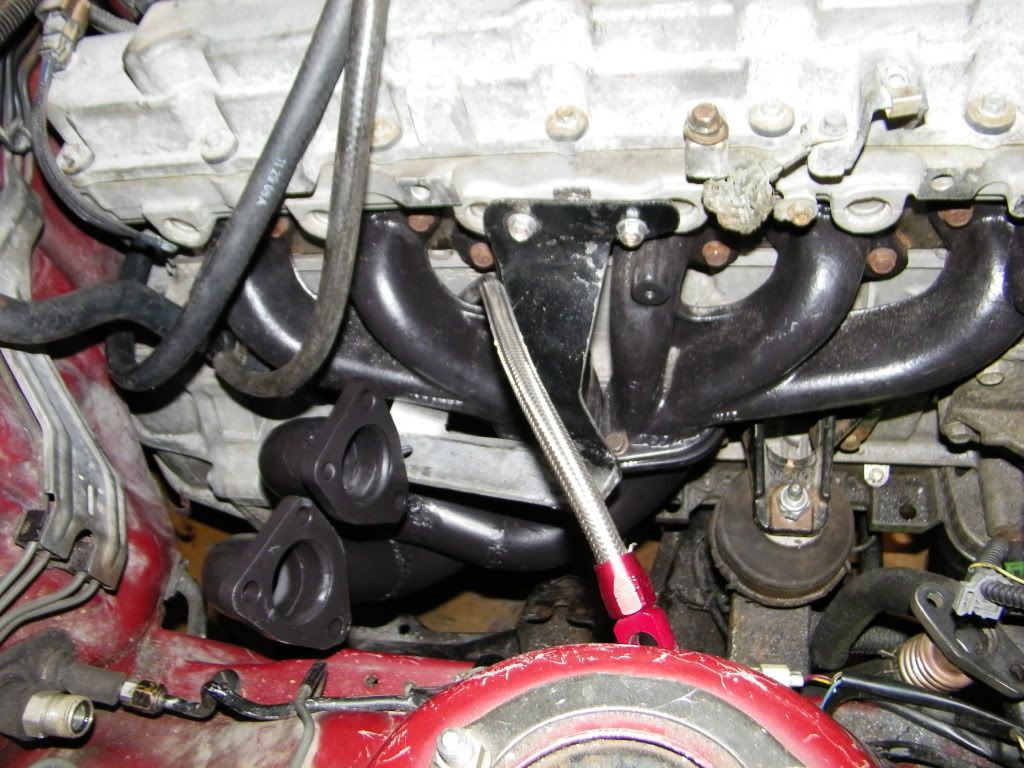 p1677945_1.jpg