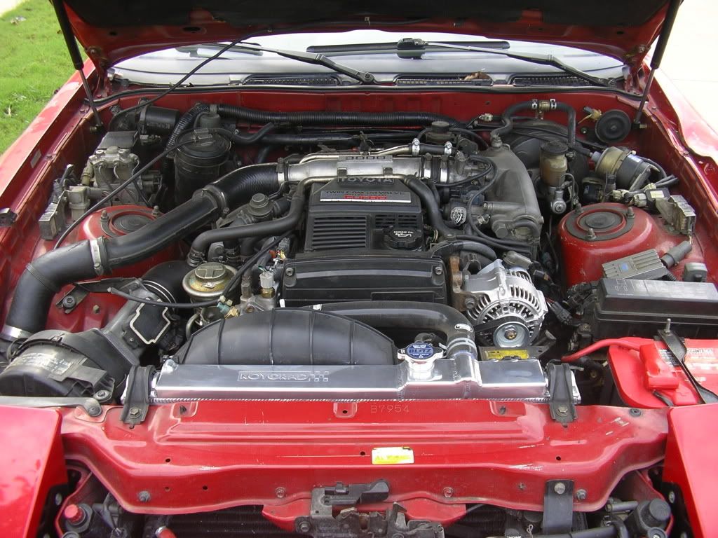 p1681241_1.jpg