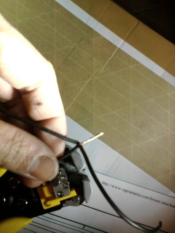p1689720_5.jpg