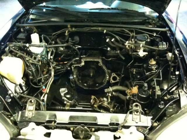 p1690751_1.jpg