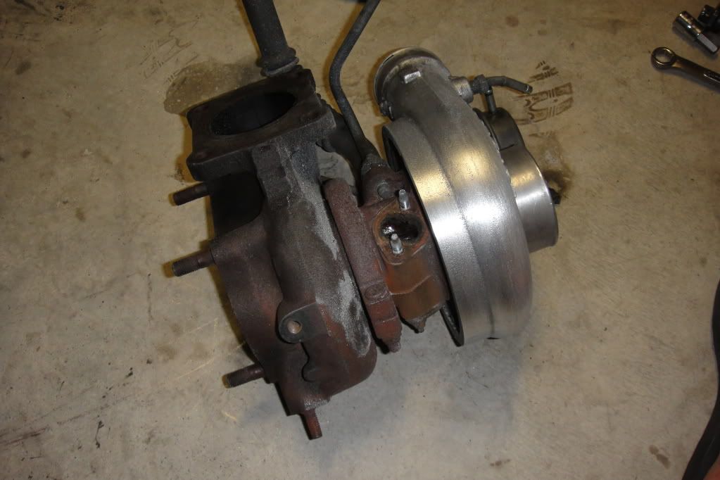 p1704980_4.jpg