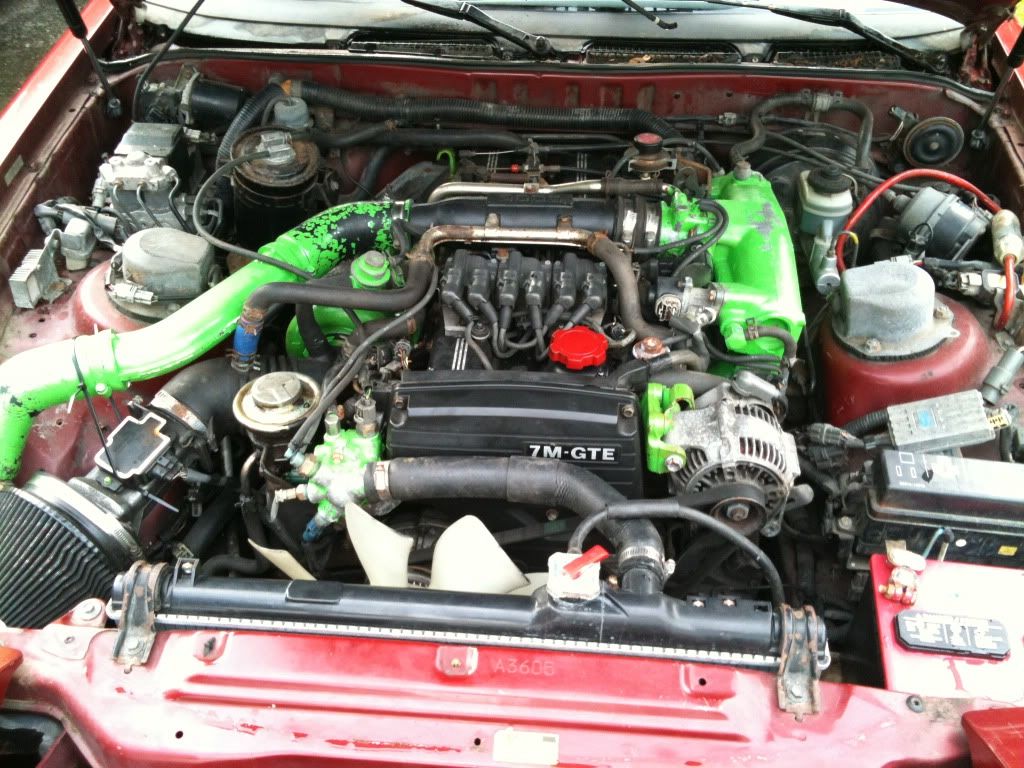 p1732757_9.jpg