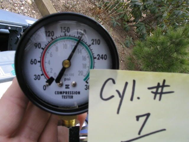 p173833_1.jpg